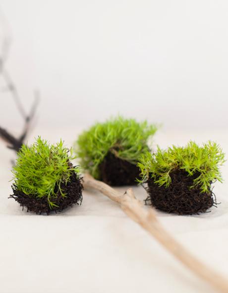 Knitted Nest – Cocoknits